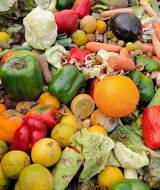 Отходы овощей необработанных (ФККО 40110511204)